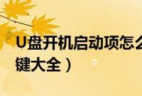 U盘开机启动项怎么设置（U盘装系统启动热键大全）