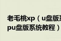 老毛桃xp（u盘版系统怎么安装老毛桃安装xpu盘版系统教程）