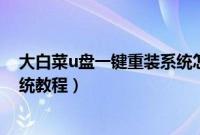 大白菜u盘一键重装系统怎么操作（大白菜优盘一键安装系统教程）