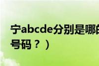 宁abcde分别是哪的车牌（宁d是哪里的车牌号码？）