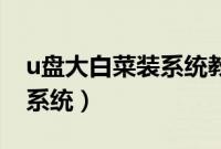 u盘大白菜装系统教程（怎么用U盘大白菜装系统）
