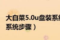 大白菜5.0u盘装系统教程（大白菜v5.0u盘装系统步骤）