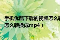 手机优酷下载的视频怎么转换成mp3（手机优酷下载的视频怎么转换成mp4）