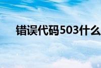 错误代码503什么意思（错误代码503）
