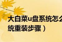 大白菜u盘系统怎么重装系统（大白菜u盘系统重装步骤）