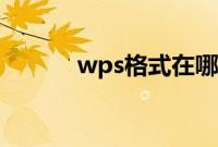 wps格式在哪（wps格式在哪）