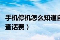 手机停机怎么知道自己手机号（手机停机怎么查话费）