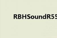 RBHSoundR55E落地式扬声器评测