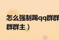 怎么强制踢qq群群主手机版（怎么强制踢qq群群主）