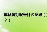车辆黄灯叹号什么意思（大众朗逸黄灯泡里叹号是什么意思？）