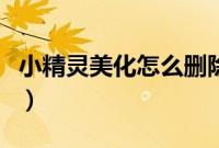 小精灵美化怎么删除（小精灵美化怎么开权限）