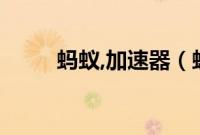 蚂蚁,加速器（蚂蚁加速器怎么用）