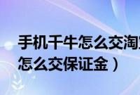 手机千牛怎么交淘宝保证金30元（手机千牛怎么交保证金）