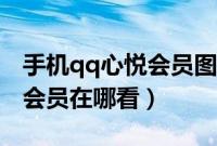 手机qq心悦会员图标怎么显示（手机qq心悦会员在哪看）
