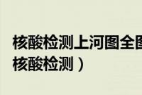 核酸检测上河图全图高清（如何在手机上预约核酸检测）