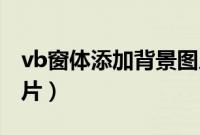 vb窗体添加背景图片（VB菜单项怎么添加图片）