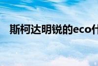 斯柯达明锐的eco什么意思（有什么用？）