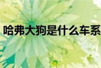 哈弗大狗是什么车系（哈弗大狗是什么车？）