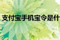 支付宝手机宝令是什么（手机宝令怎么添加）