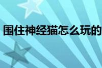 围住神经猫怎么玩的（围住神经猫玩法攻略）