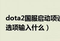 dota2国服启动项设置方法（dota2国服启动选项输入什么）