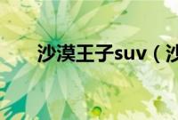沙漠王子suv（沙漠王子是哪款车？）