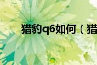 猎豹q6如何（猎豹q6用什么导航？）