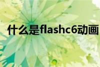什么是flashc6动画（什么是flashcookie）