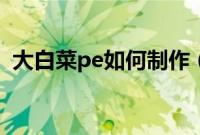 大白菜pe如何制作（大白菜pe盘制作方法）