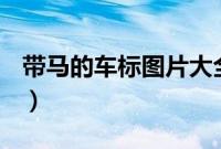 带马的车标图片大全(车标带马的是什么车?)