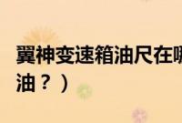 翼神变速箱油尺在哪里(翼神多久更换变速箱油?)