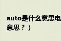 auto是什么意思电脑上的（奥迪auto是什么意思？）