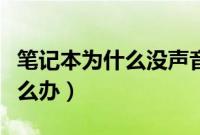 笔记本为什么没声音（笔记本电脑没有声音怎么办）