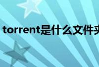 torrent是什么文件夹（torrent是什么文件）
