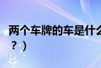 两个车牌的车是什么车（两个车牌的车是什么？）