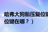 哈弗大狗胎压复位键在哪里(哈弗大狗胎压复位键在哪?)