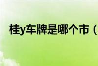 桂y车牌是哪个市（桂l车牌号是哪里的？）