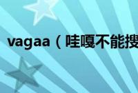 vagaa（哇嘎不能搜索资源解决方法(图解)）