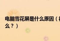 电脑雪花屏是什么原因（福特仪表盘雪花一直亮的原因是什么？）