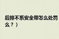 后排不系安全带怎么处罚（奥迪Q5L后排太直解决方案是什么？）