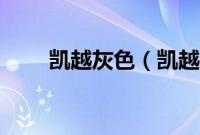 凯越灰色（凯越用灰壳多久保养？）