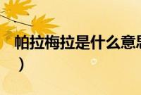 帕拉梅拉是什么意思（帕拉梅拉是什么意思？）