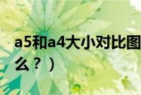 a5和a4大小对比图（a5和a4的大小对比是什么？）