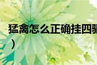 猛禽怎么正确挂四驱车（猛禽怎么正确挂四驱）