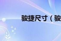 骏捷尺寸（骏捷用什么悬挂？）