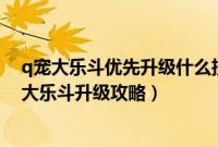 q宠大乐斗优先升级什么技能（Q宠大乐斗怎么升级快,Q宠大乐斗升级攻略）