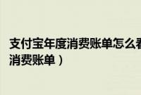 支付宝年度消费账单怎么看（如何查看2019年支付宝的年度消费账单）