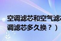 空调滤芯和空气滤芯多久换一次（乐风RV空调滤芯多久换？）