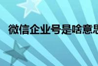 微信企业号是啥意思（什么是微信企业号）