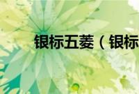 银标五菱（银标五菱是什么意思？）
